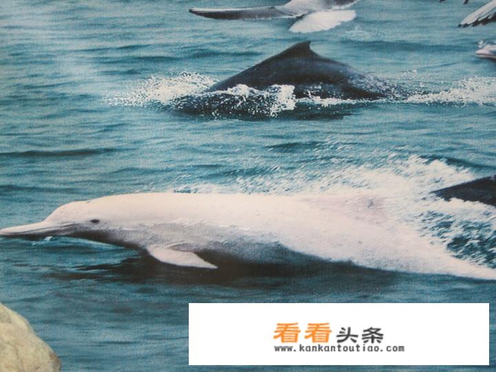广西钦州市10大著名景点有哪些？