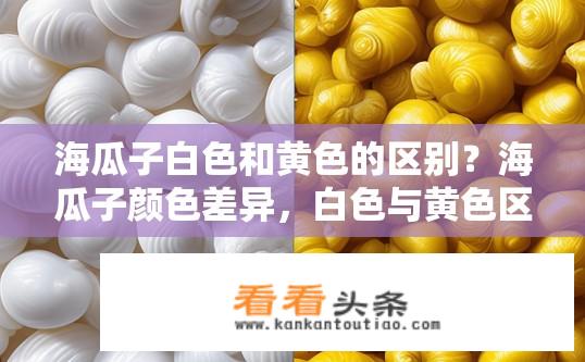海瓜子白色和黄色的区别？海瓜子颜色差异，白色与黄色区别表现在哪里？