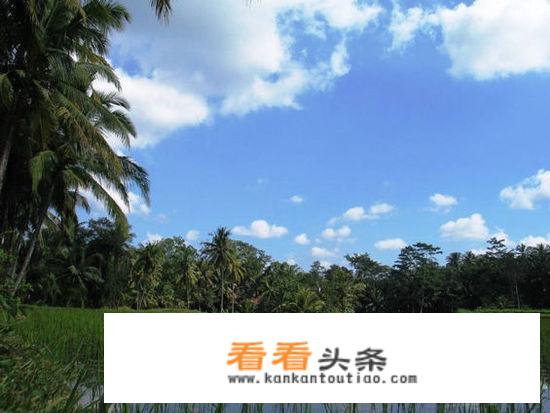 巴厘岛有哪些旅游景点？