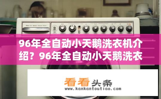 96年全自动小天鹅洗衣机介绍？96年全自动小天鹅洗衣机技术参数与功能简介