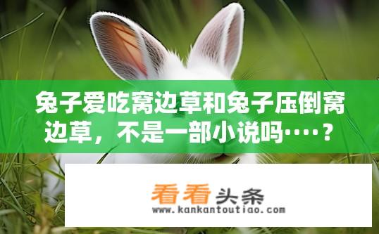 兔子爱吃窝边草和兔子压倒窝边草，不是一部小说吗····？兔子为何在草丛中觅食，并非情节小说中的主角机智反攻或生存智慧的展现吗？