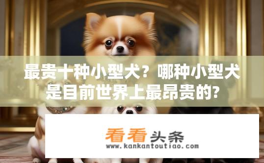 最贵十种小型犬？哪种小型犬是目前世界上最昂贵的?