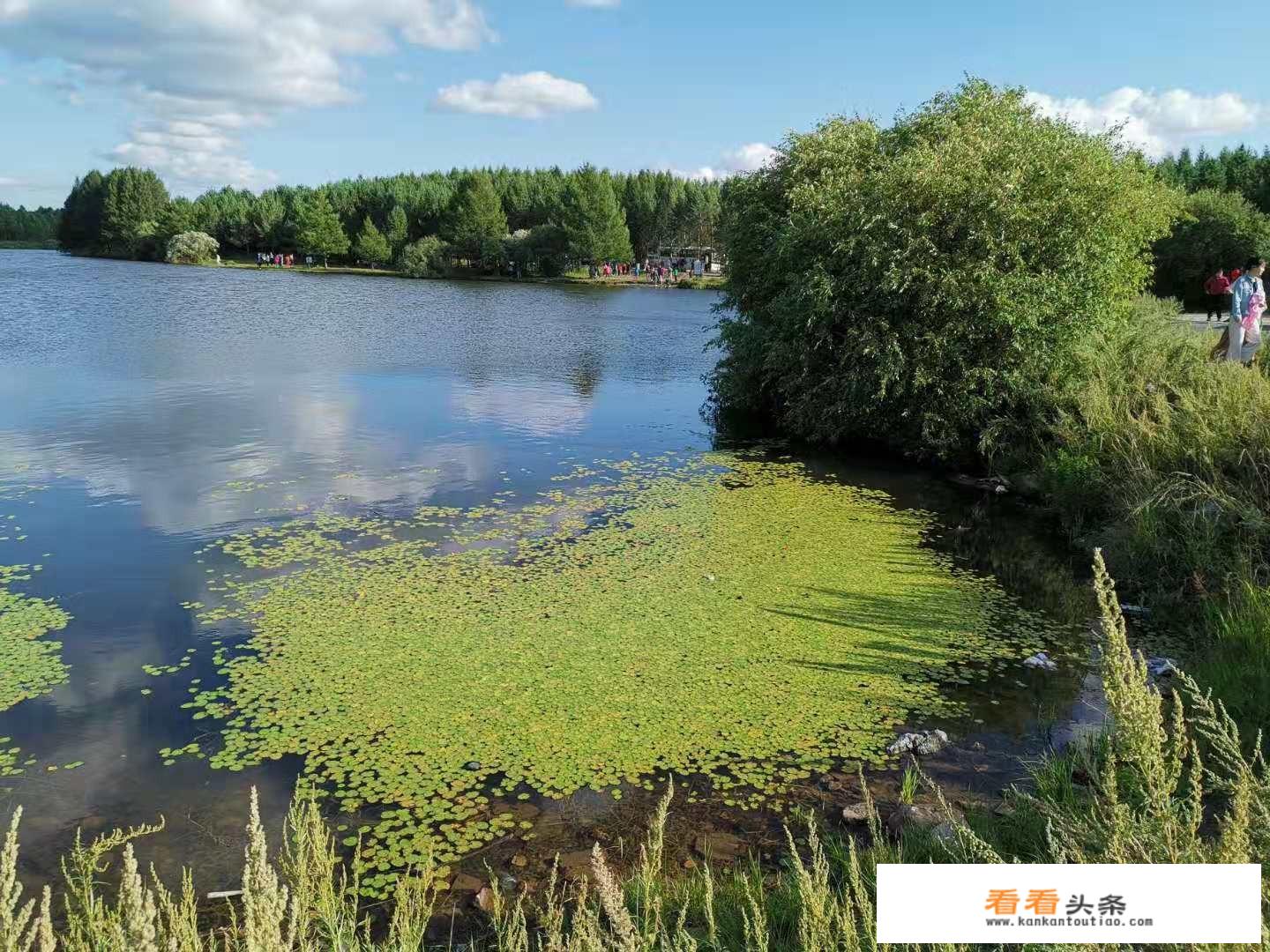 乌兰布统草原在哪?那里景色怎么样？