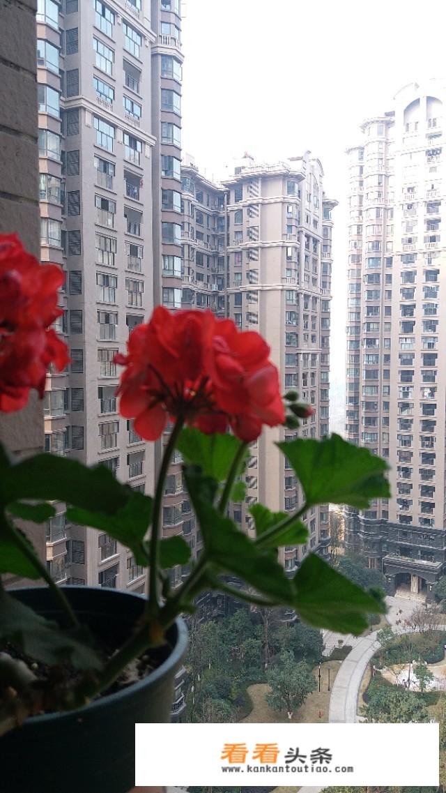成都4月为什么这么热？