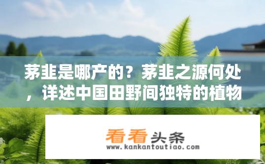 茅韭是哪产的？茅韭之源何处，详述中国田野间独特的植物物种?