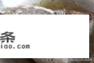 酱炖金枪鱼的家常做法？