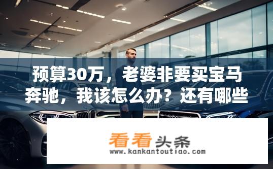 预算30万，老婆非要买宝马奔驰，我该怎么办？还有哪些好车推荐？预算30万，如何平衡宝马奔驰与老婆选择？适合家庭用车的豪华品牌推荐？