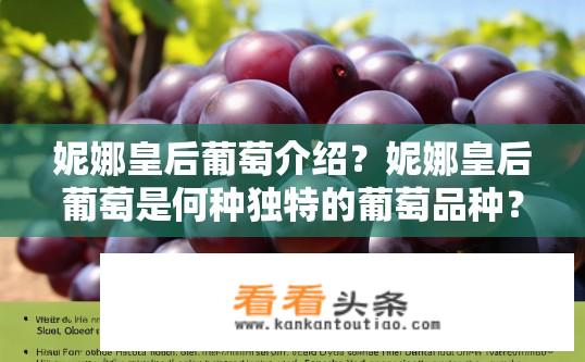 妮娜皇后葡萄介绍？妮娜皇后葡萄是何种独特的葡萄品种？其口感、营养价值与生长条件有何特别之处？