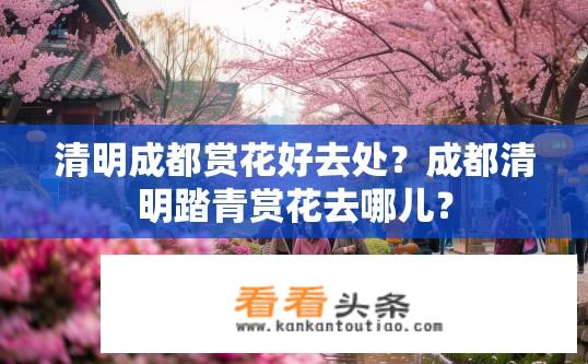 清明成都赏花好去处？成都清明踏青赏花去哪儿？