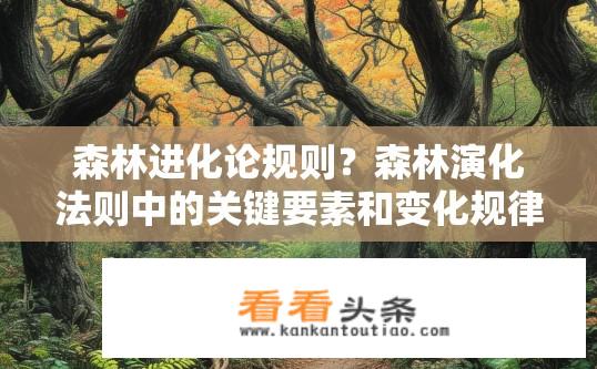 森林进化论规则？森林演化法则中的关键要素和变化规律是什么？