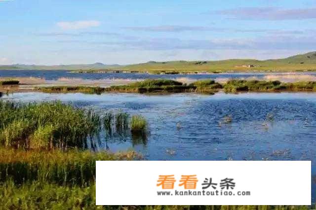 乌拉盖大草原有没有门票？
