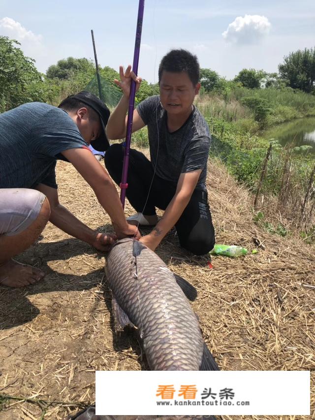 我问一下，大兴区的鱼友，大兴有野钓的地方吗？