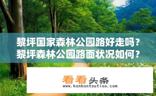 黎坪国家森林公园路好走吗？黎坪森林公园路面状况如何？适合徒步旅行吗？