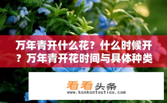 万年青开什么花？什么时候开？万年青开花时间与具体种类是什么？