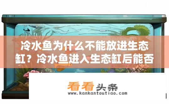 冷水鱼为什么不能放进生态缸？冷水鱼进入生态缸后能否健康生长？