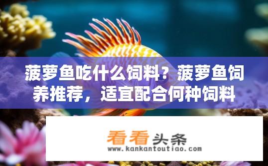 菠萝鱼吃什么饲料？菠萝鱼饲养推荐，适宜配合何种饲料提升口感和生长效率?
