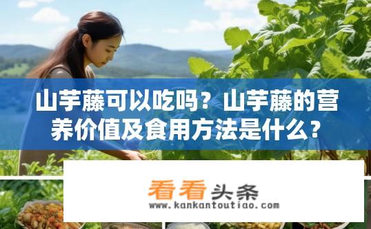 山芋藤可以吃吗？山芋藤的营养价值及食用方法是什么？