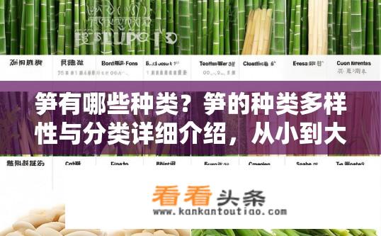 笋有哪些种类？笋的种类多样性与分类详细介绍，从小到大、从硬到软，你能列举出全部吗?