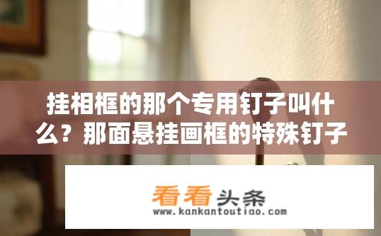 挂相框的那个专用钉子叫什么？那面悬挂画框的特殊钉子叫什么名字?