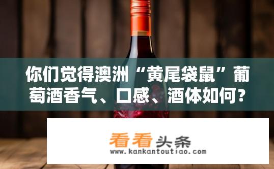 你们觉得澳洲“黄尾袋鼠”葡萄酒香气、口感、酒体如何？澳洲黄尾袋鼠葡萄酒香气与口感如何，酒体表现如何评价？