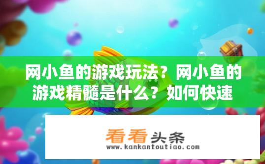 网小鱼的游戏玩法？网小鱼的游戏精髓是什么？如何快速上手并享受其中的乐趣?