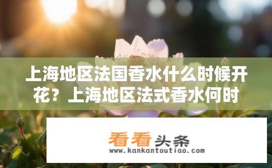 上海地区法国香水什么时候开花？上海地区法式香水何时花开？