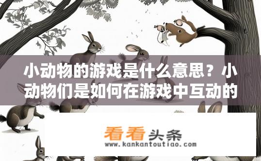 小动物的游戏是什么意思？小动物们是如何在游戏中互动的？