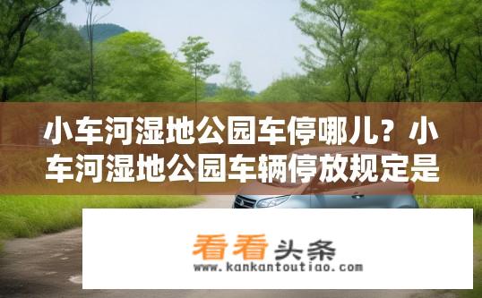 小车河湿地公园车停哪儿？小车河湿地公园车辆停放规定是什么？