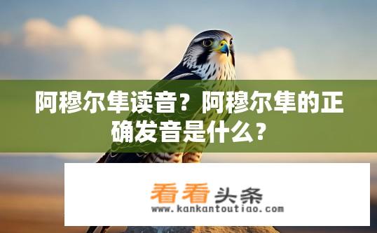 阿穆尔隼读音？阿穆尔隼的正确发音是什么？