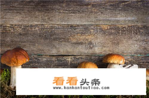 黄丝菌汤的做法？