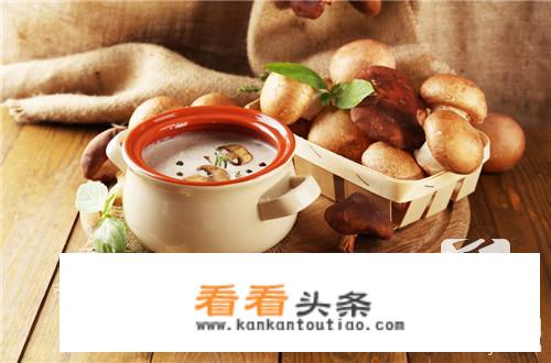黄丝菌汤的做法？