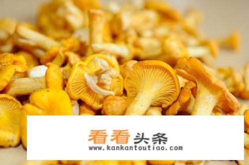 黄丝菌汤的做法？