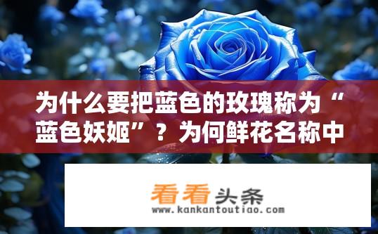 为什么要把蓝色的玫瑰称为“蓝色妖姬”？为何鲜花名称中会使用蓝色?