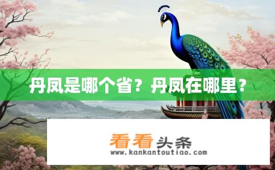 丹凤是哪个省？丹凤在哪里？