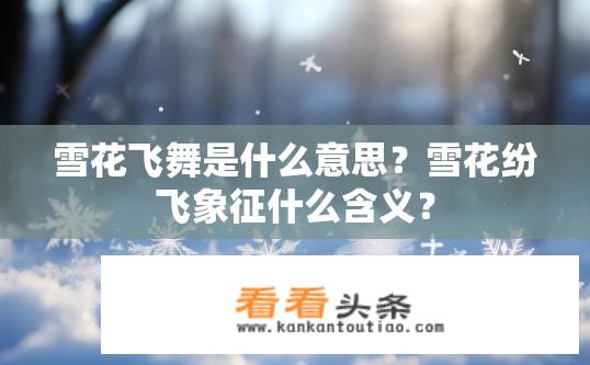 雪花飞舞是什么意思？雪花纷飞象征什么含义？