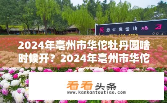 2024年亳州市华佗牡丹园啥时候开？2024年亳州市华佗牡丹园开放日期何时公布？