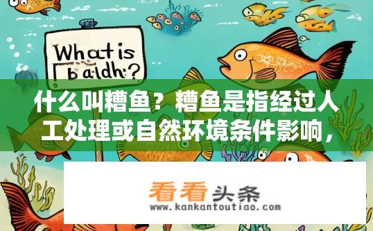 什么叫糟鱼？糟鱼是指经过人工处理或自然环境条件影响，肉质变软、口感变差、营养价值下降的鱼类种类吗？