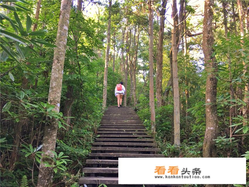 杭州天目山和千岛湖哪个更好玩？