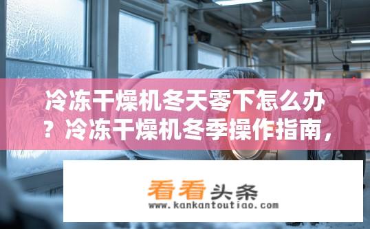冷冻干燥机冬天零下怎么办？冷冻干燥机冬季操作指南，如何应对零下低温环境?