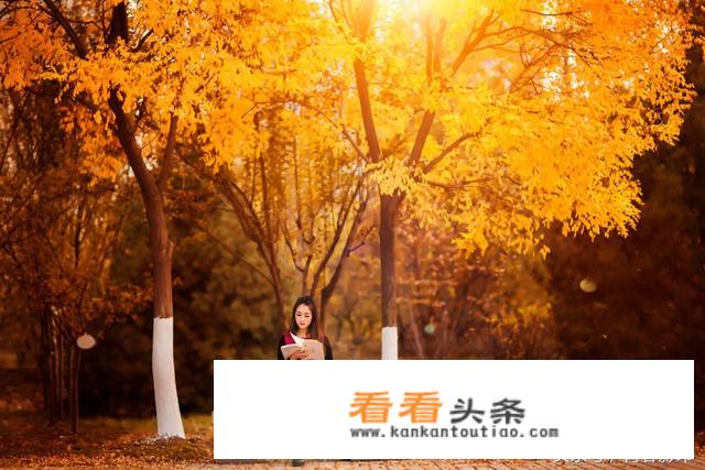 春夏秋冬都有什么景物？