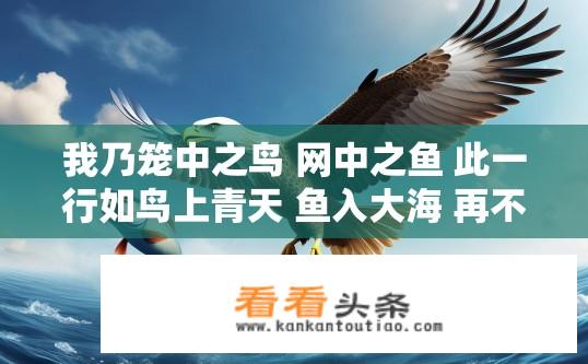 我乃笼中之鸟 网中之鱼 此一行如鸟上青天 鱼入大海 再不受羁绊了什么意思？无拘无束，鸟儿翱翔天空，鱼儿畅游海洋，从此解脱束缚，自由自在无拘无束了吗?
