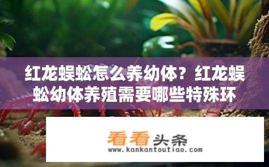 红龙蜈蚣怎么养幼体？红龙蜈蚣幼体养殖需要哪些特殊环境和方法?