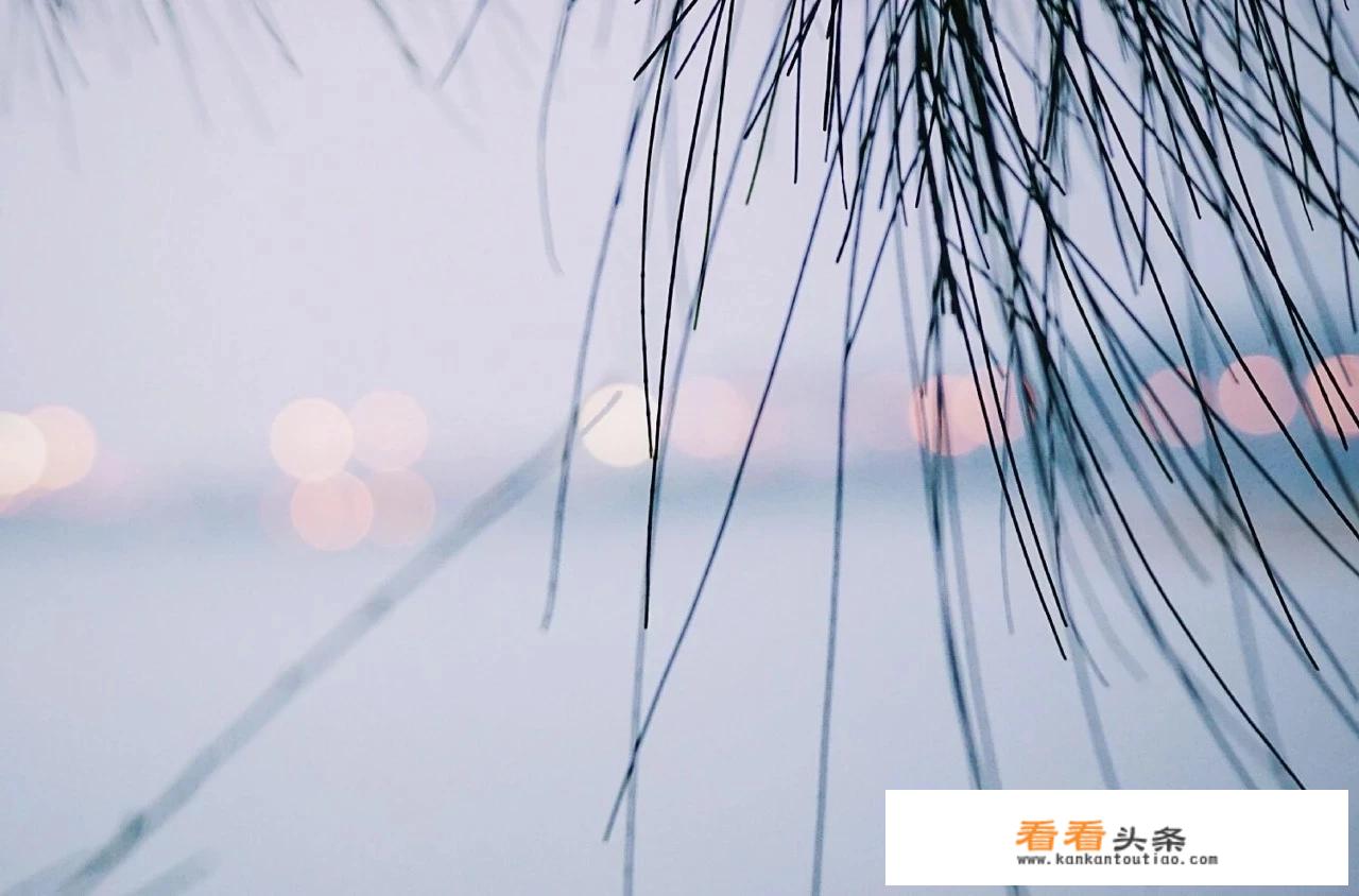 说说看，你们和心爱的人一起旅游回来的感受？