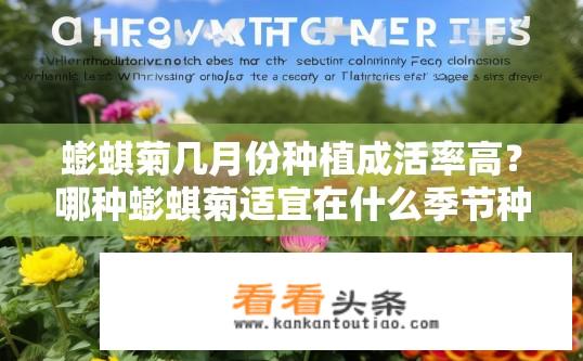 蟛蜞菊几月份种植成活率高？哪种蟛蜞菊适宜在什么季节种植以提高成活率?