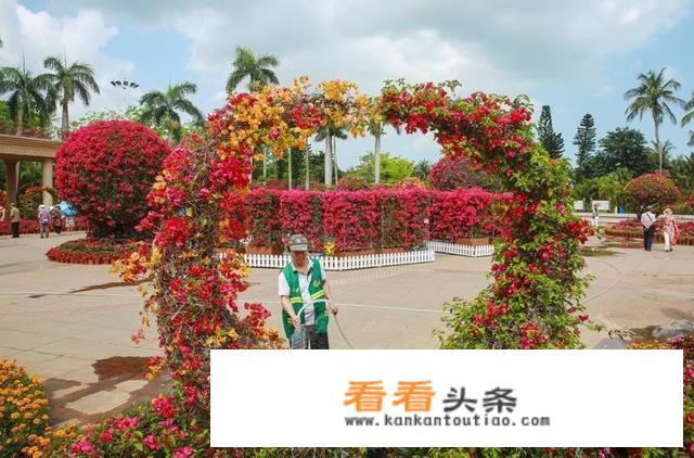冬天旅居（养老）为什么大家都喜欢来海南三亚？