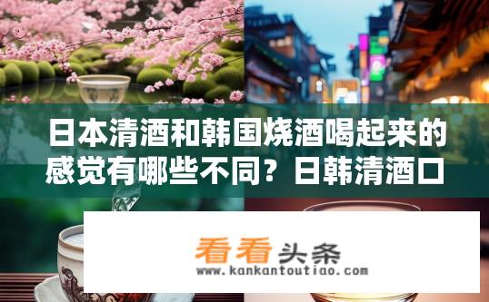 日本清酒和韩国烧酒喝起来的感觉有哪些不同？日韩清酒口感区别，品味异曲同工之妙还是风格迥异？