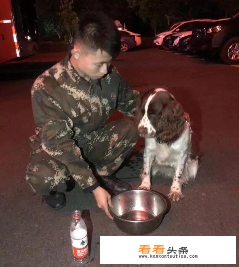 四川历史上发生的大地震有哪些？