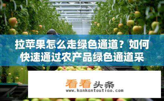 拉苹果怎么走绿色通道？如何快速通过农产品绿色通道采摘、运输至市场及销售环节?