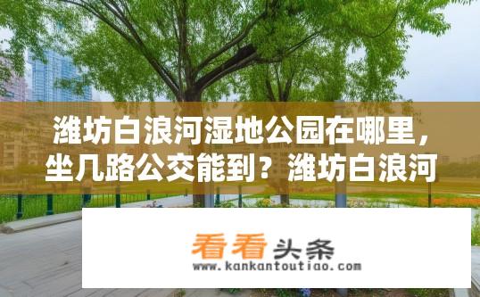 潍坊白浪河湿地公园在哪里，坐几路公交能到？潍坊白浪河湿地公园地址及乘车路线是什么？