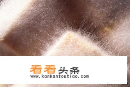 自制豆腐乳家常做法？